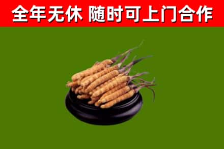 白河烟酒回收冬虫夏草.jpg